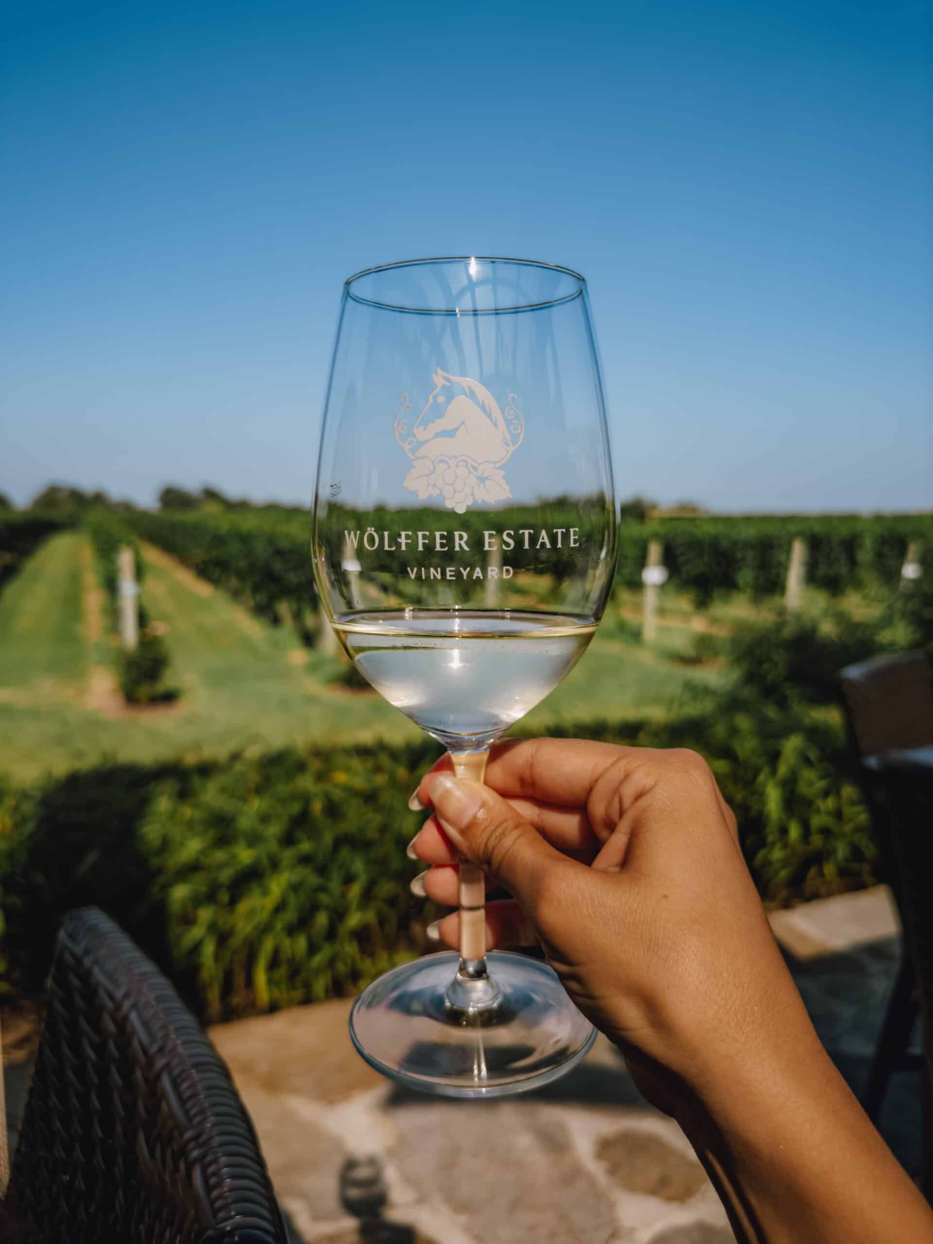 Charmed by Camille blogger holding a glass of wine at Wolffer Estate Vineyard