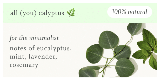 eucalyptus fragrance eucalyptus fragrance