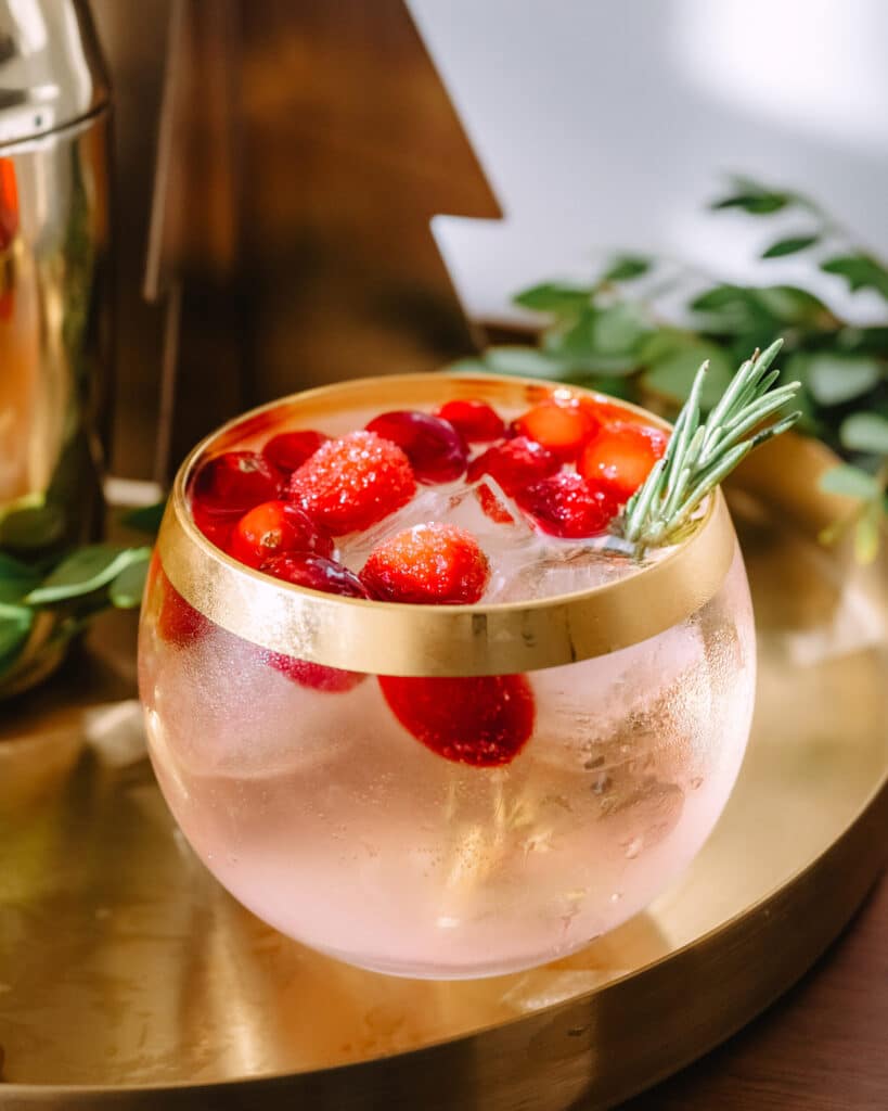 Cranberry Gin Fizz Holiday Cocktail