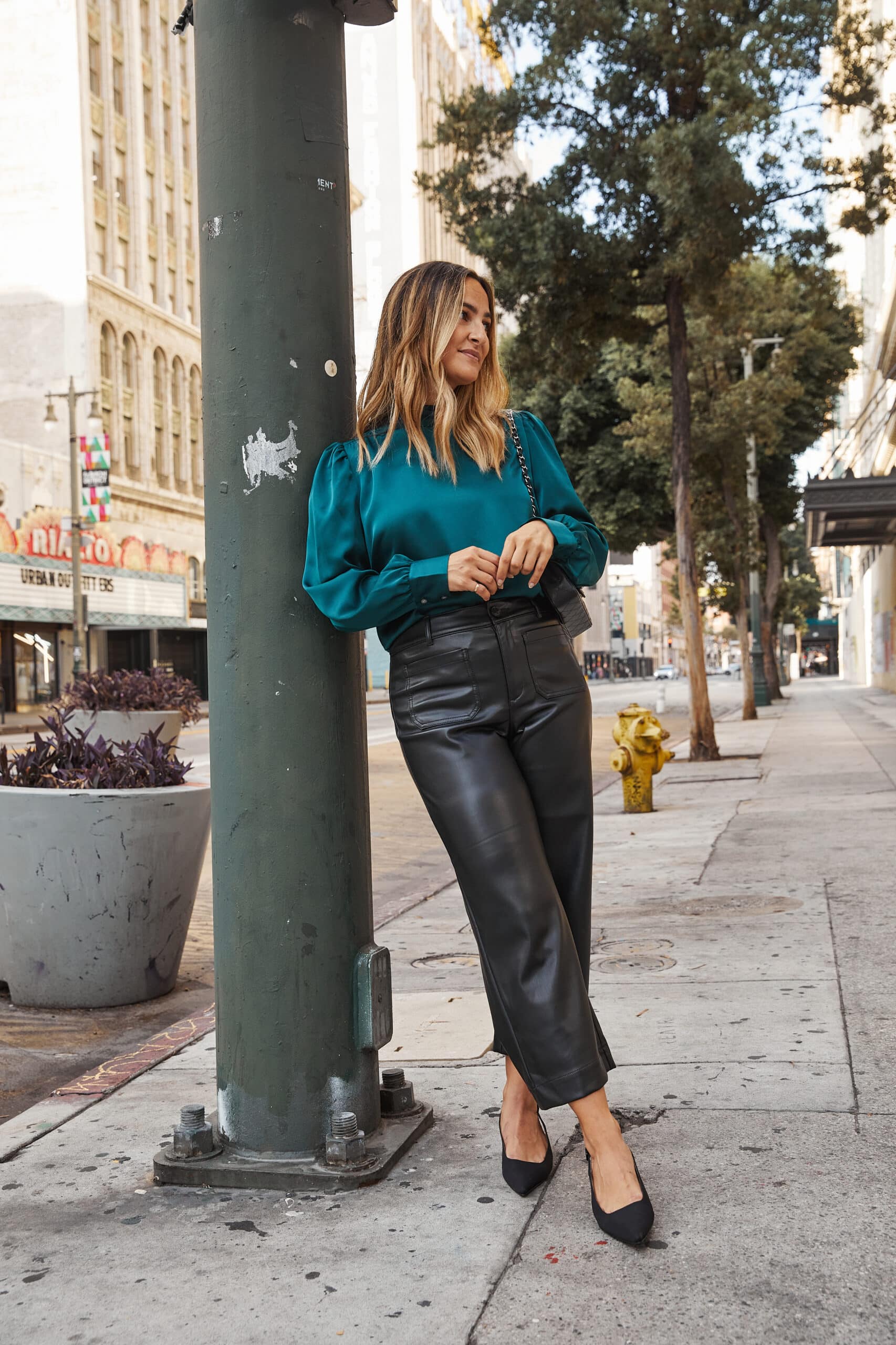 Dressed Up Leather Pants Dressed Up Leather Pants