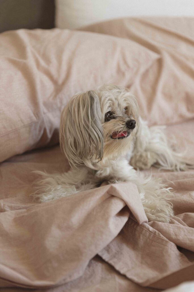 Morning Routine Ideas