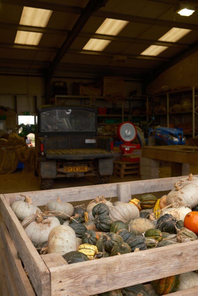 Daylesford Christmas Stay